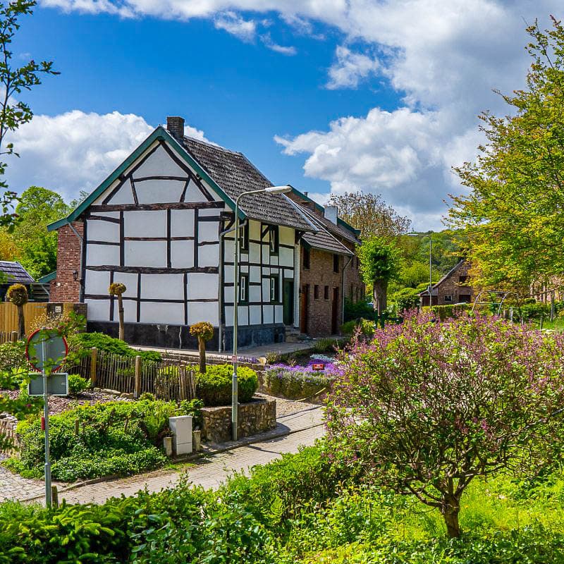 NL5DMA Merel Timmer_Dutch-Mountain-Trail-JessicaDSC00404-1_Merel Trimmer_w950