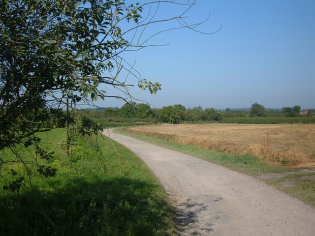 Haspengouw Marianne Bamps 1 Export W950