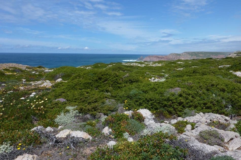 GR13-54-Algarve-Anne-De-Bruycker-P1030822_export