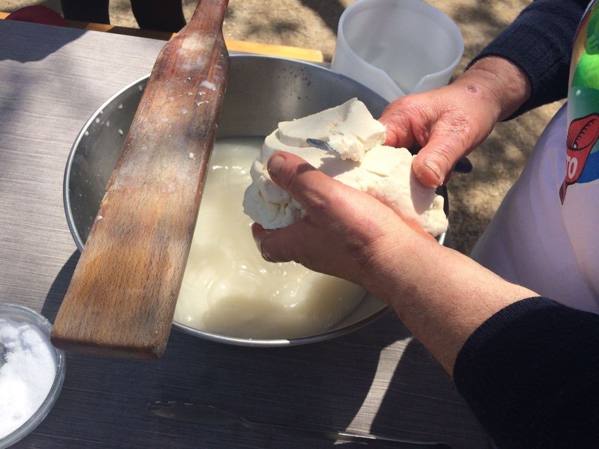 mozzarella-maker_export