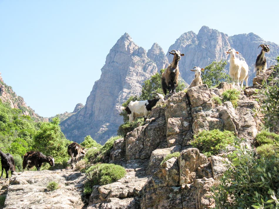 Gr10 P56 Corsica 09 Hilda Theunisse Img 0596 Export W950