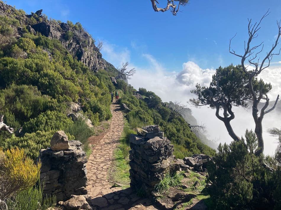 Prospectie (17) Selectie Sophie En Koen W950