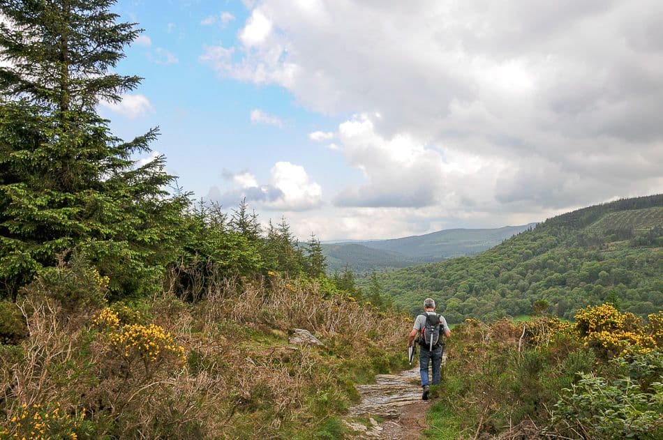 DSC_9410_export_w950 (2)