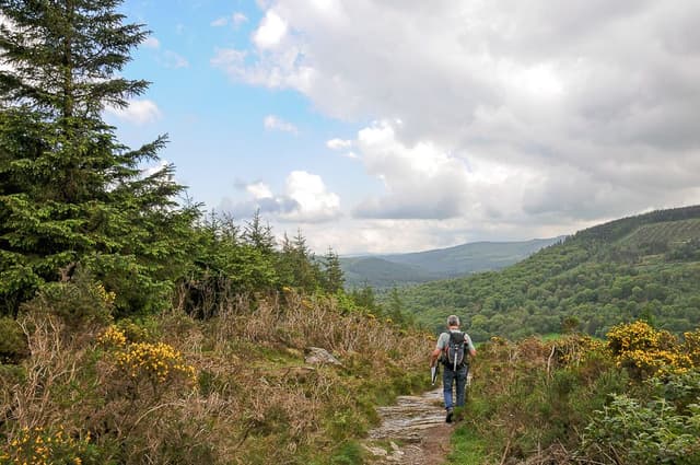 DSC_9410_export_w950 (2)