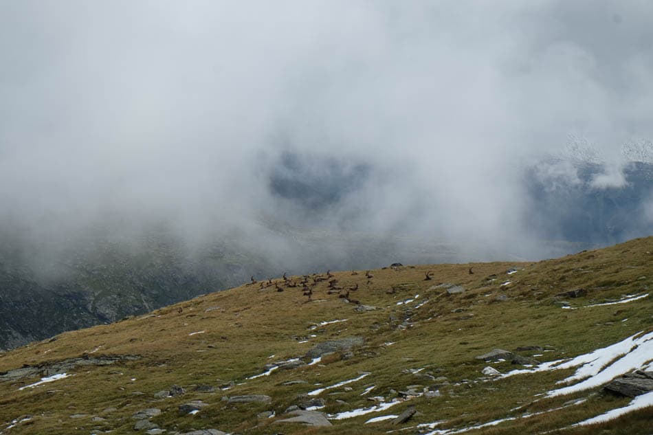 DSCF4354-FR5VNA Maarten Caversoons-Maarten Caversoons-w950