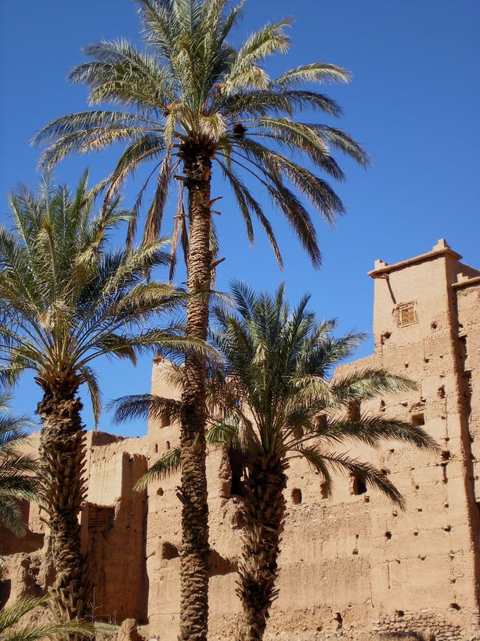 GR12-136-WI-10-11-p84-Marina-Abts-Z-Marokko-08-DSCN0015_export