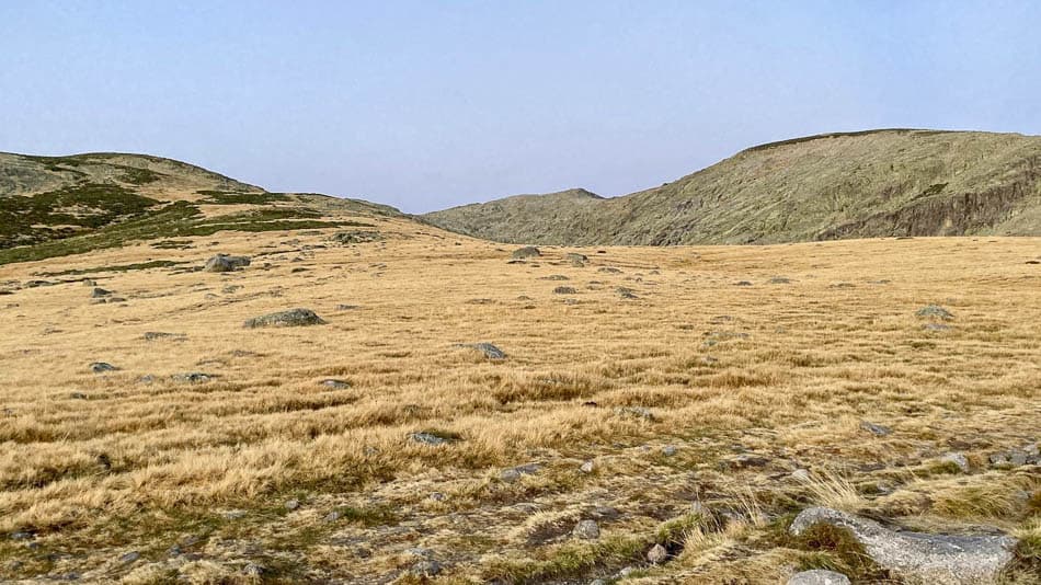 25 Cabeza Nevada-xxx--w950