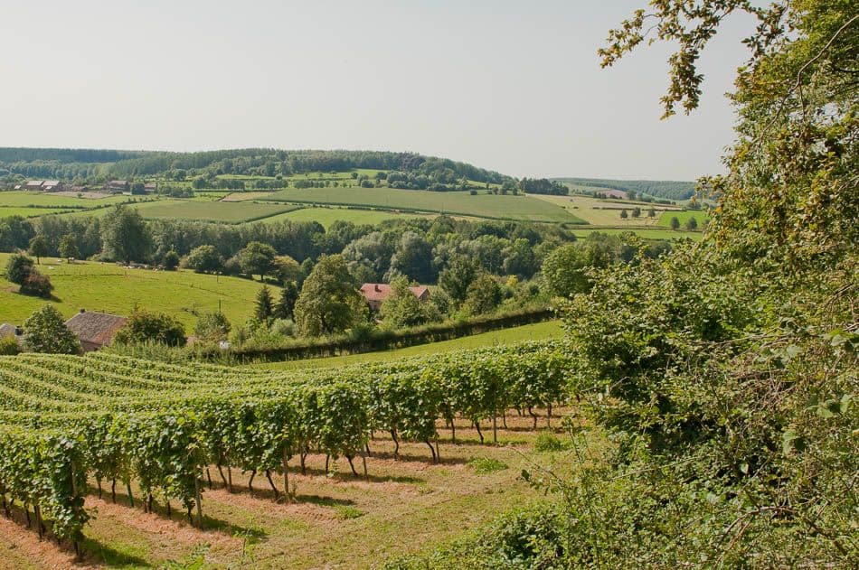 2012 08 19 Voeren 19B Chris Derynck_Chris Derynck_w950