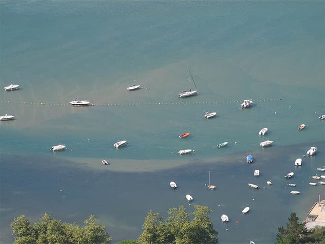 Selectie Ignacio Teres Urdaibai Unesco Site Ignacio Teres