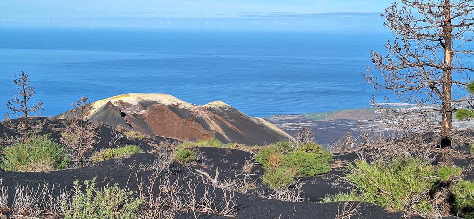 20240920 100124 Te Verwerken Rob Vanderhaeghe W950