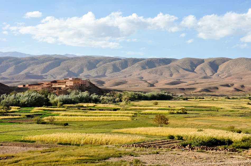 Marokko Myriam Longerstay 13 DSC_9393_export_w950