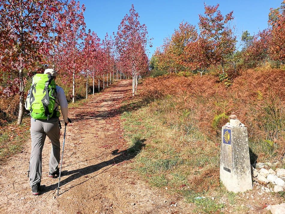 IMG_20171108_101454_Jose Augusto Azevedo_w950