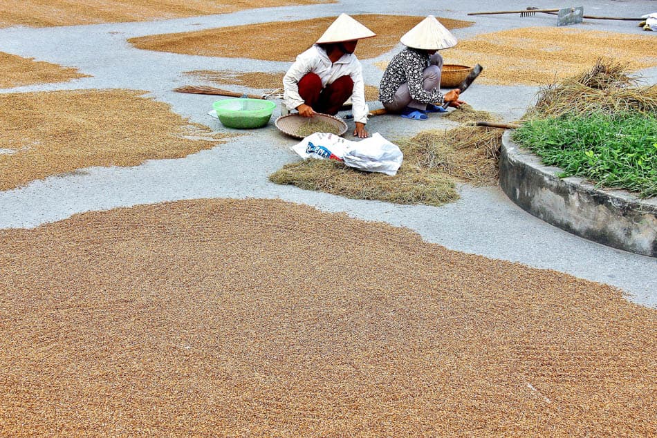VN 92 Selectie Arne Vanwijnsberghe Arne Van Wijnsberghe W950