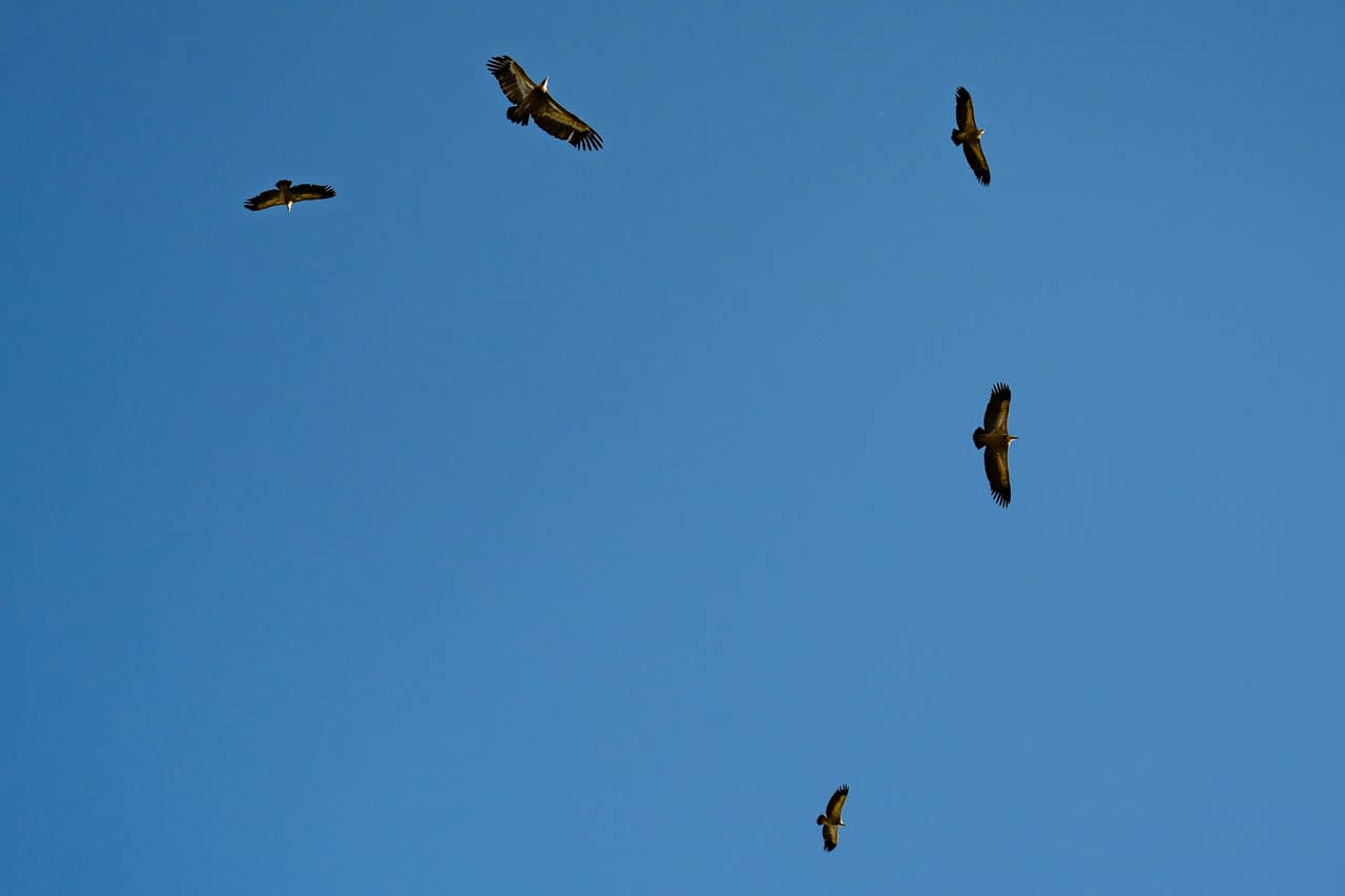 Selectie DSC8743 Marc Van Veldhoven