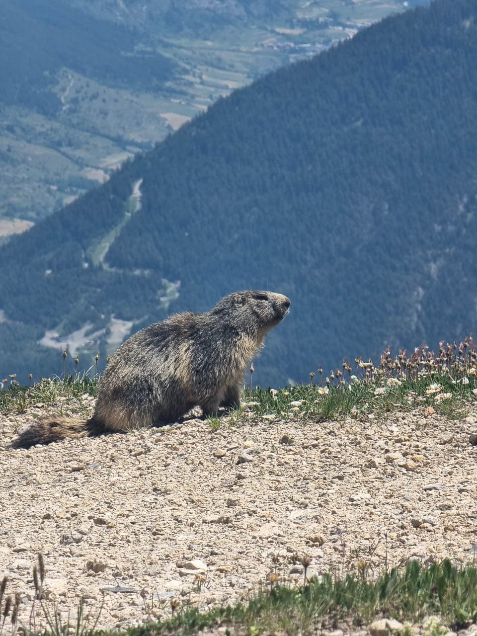 Andersreizen 20250624 111539 Jpg 2025 06 26 1120 20250622 124248 Reinoud Engels