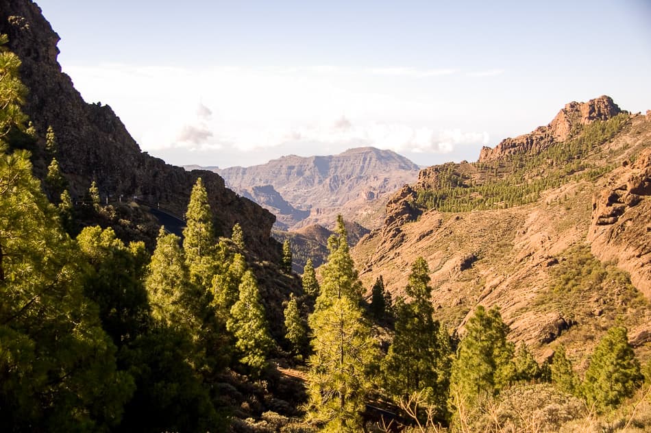 Gran Canraria Chris Derynckgc2009 50 Export W950