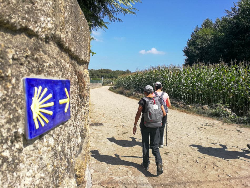 PGW Portuguese Camino #3 PT5PSB Jose Augusto Azevedo W950