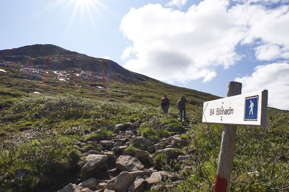 201906-Jotunheimen-BitihornOgSkyrifjellet-By-Petter-Olsen-MoN-1_export
