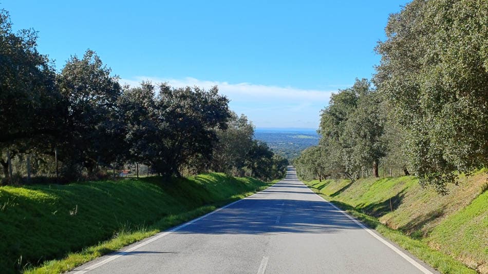 20241111 095412 PT6ALA W950