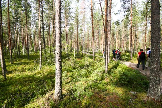 Finland-08-Rudy-De-Maeyer-IMG_5123_export_w950