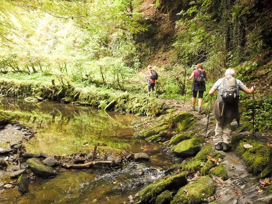 Moezel-12-Ann-Tilley-DSCI6569_export_w950