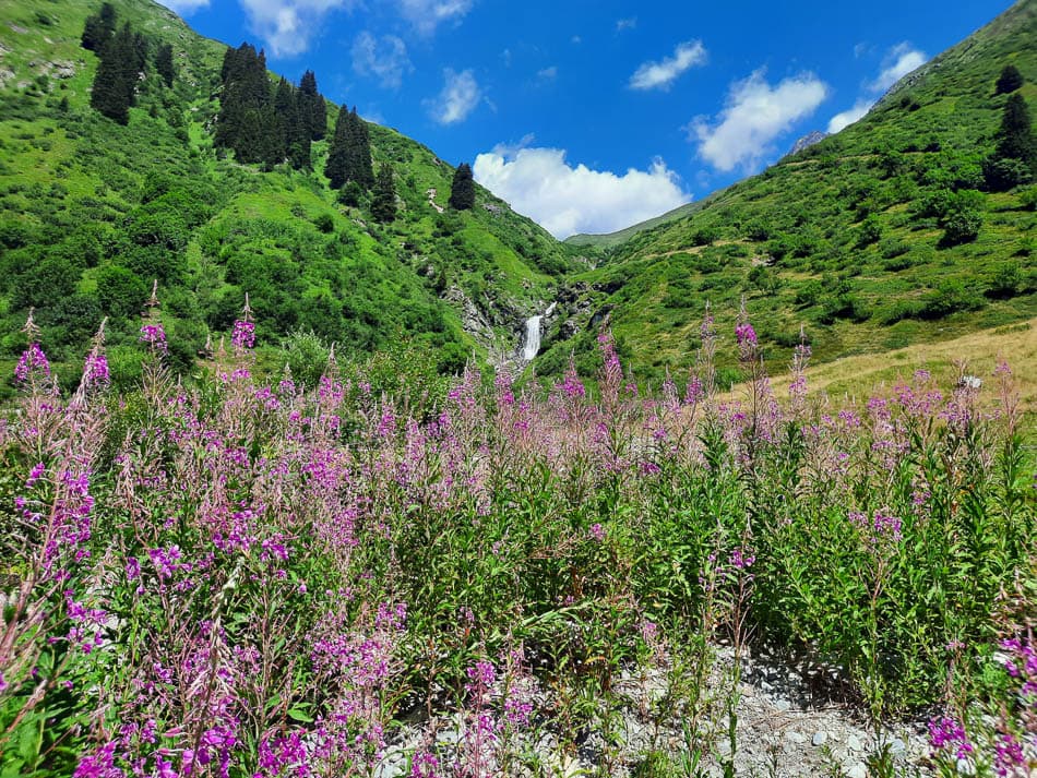 AT1SVA Davy Acke_20220725_121941_Davy Acke_w950