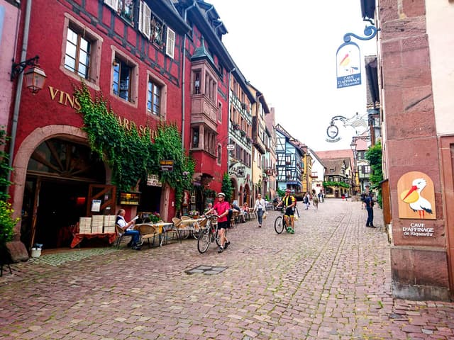 Alsace Velo Safrantours 15 FR6EZA Safrantours W950
