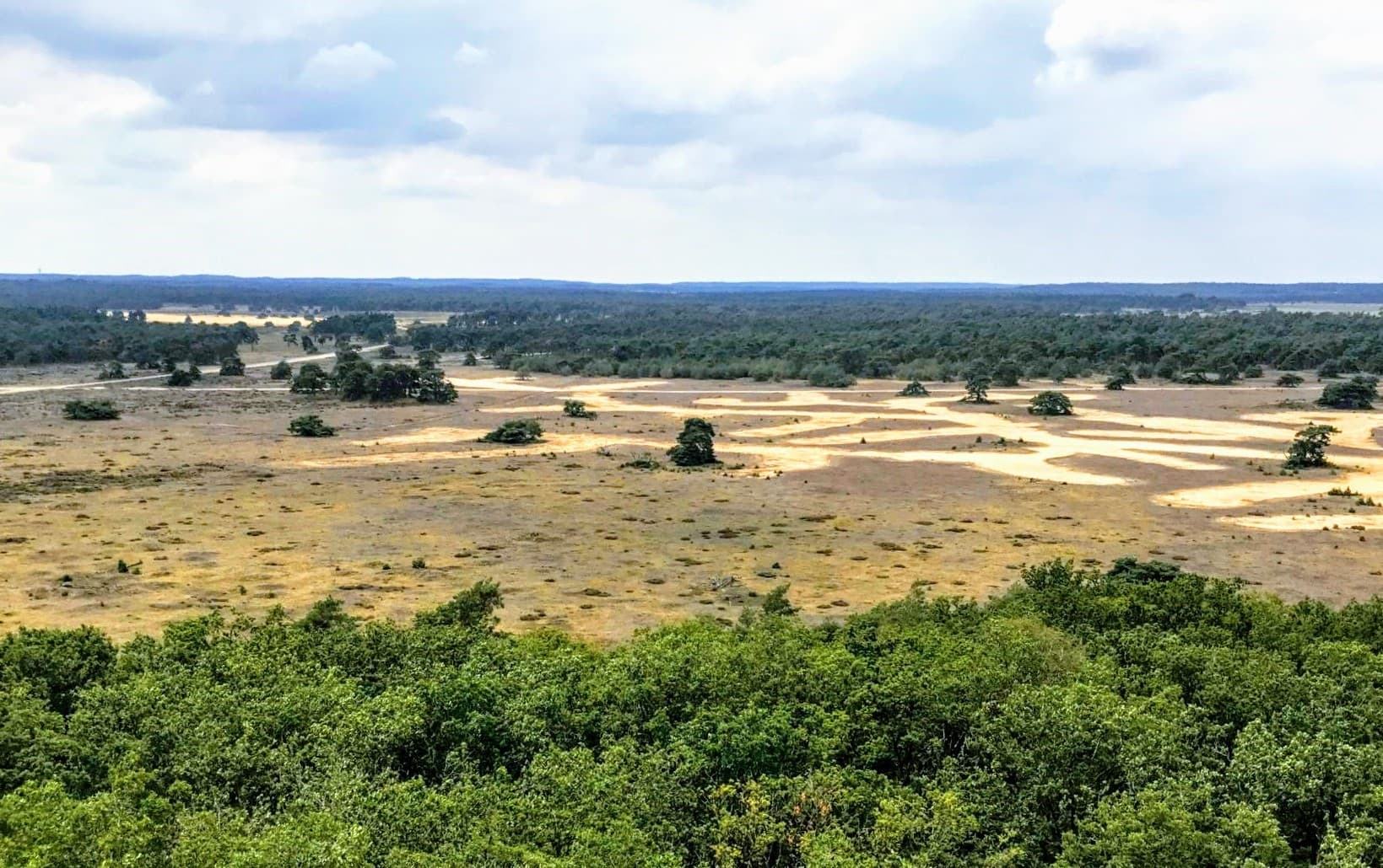 Wandelweekend Veluwe zandvlakte