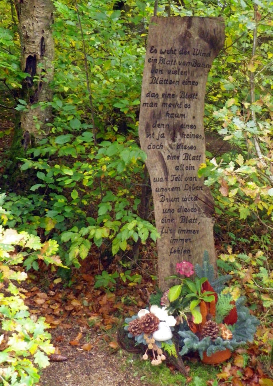 IMGP0007_export