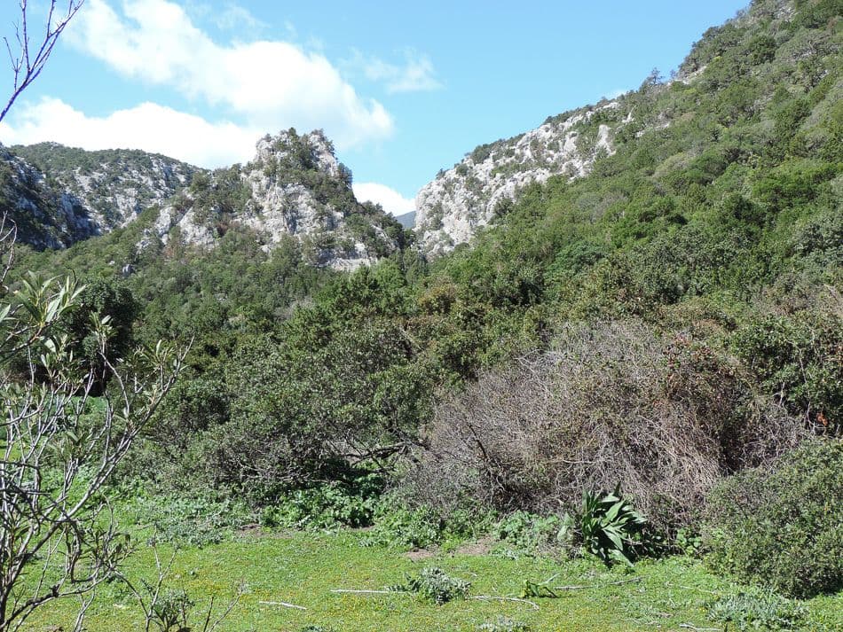 dag 2 - Cala Gonone - eerste wandeling 27_export_w950