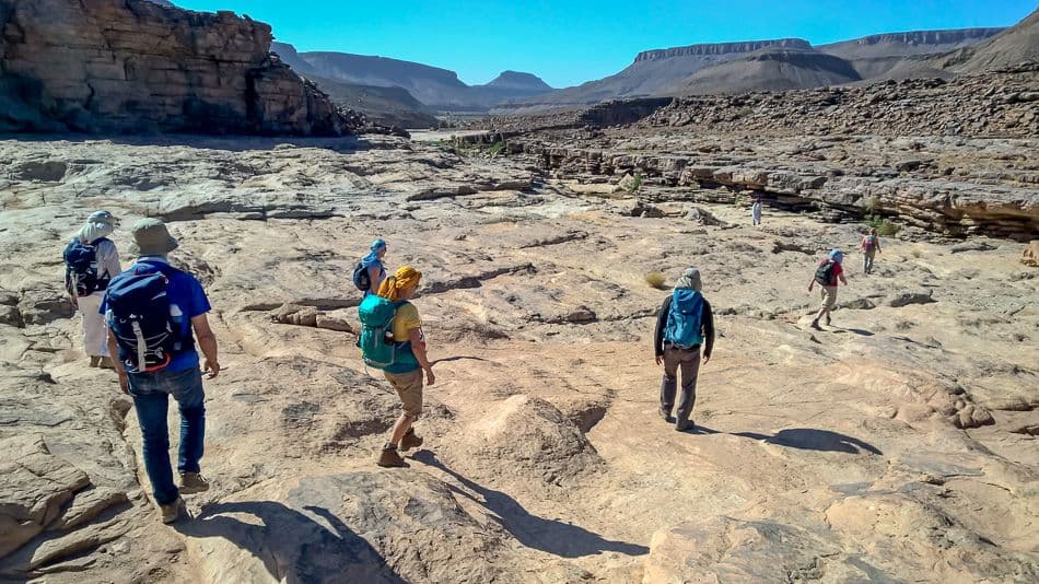 WP_20180408_11_04_31_Pro_export_w950