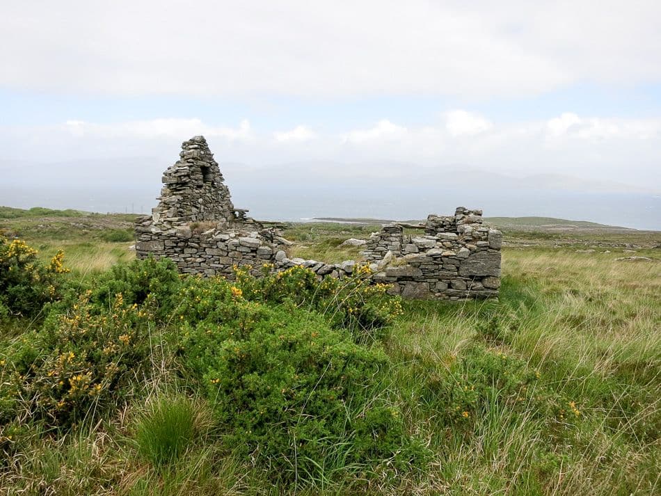 Beara-009_export_w950