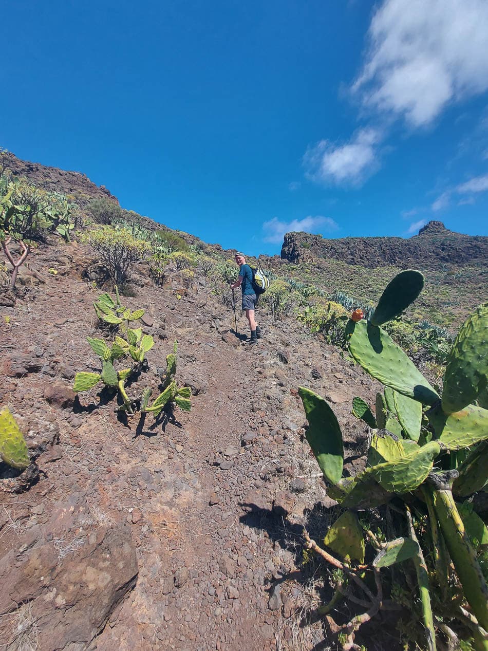 20240309 122939 Selectie Chris Van Deuren W950