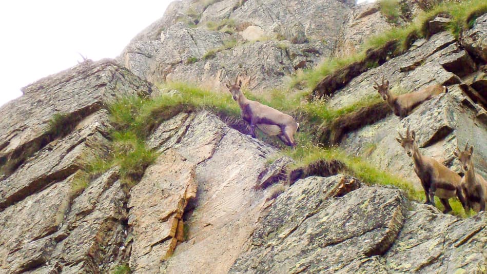 Gran Paradiso Karine Warnant 08 DSC00409 Export W950