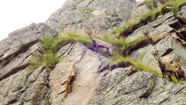 Gran Paradiso Karine Warnant 08 DSC00409 Export W950