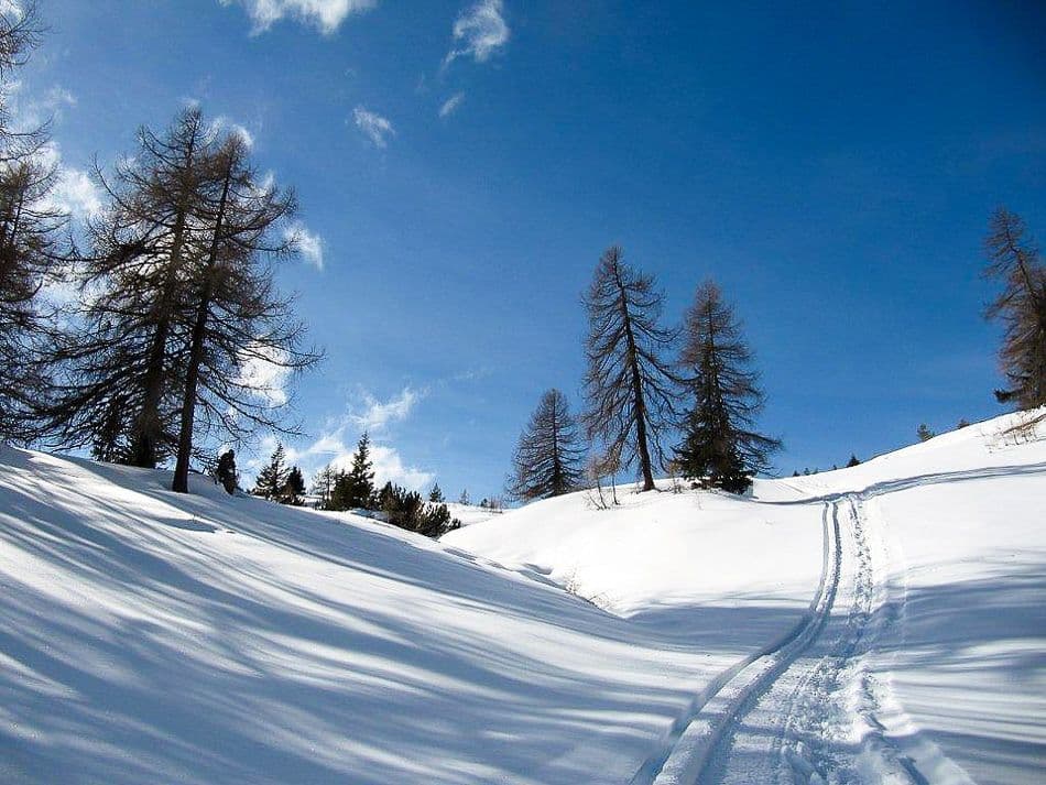 41eea6feb8_export_w950