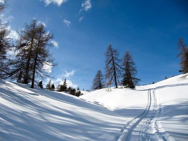 41eea6feb8_export_w950