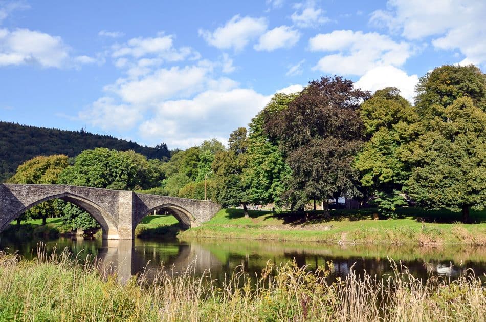 Bouillon - FTLB PWillems 4_export_w950