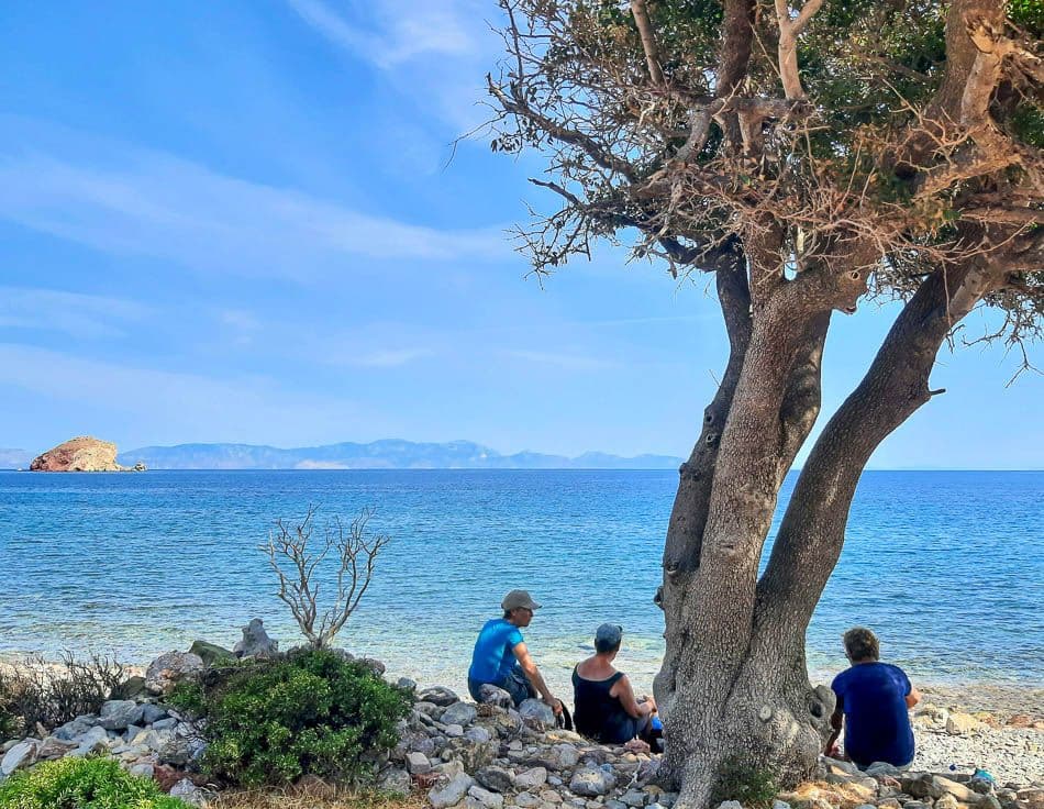 20211011_113625_steven-vertommen_w950