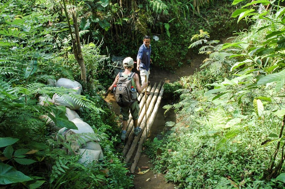 GR10-174-Indonesie-Sabine-Wittevrongel-9_export_w950