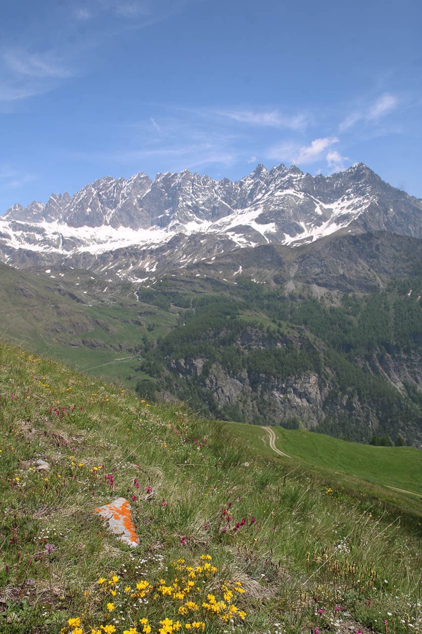 Jan Van Brabant IMG 0592 Jan Van Brabant