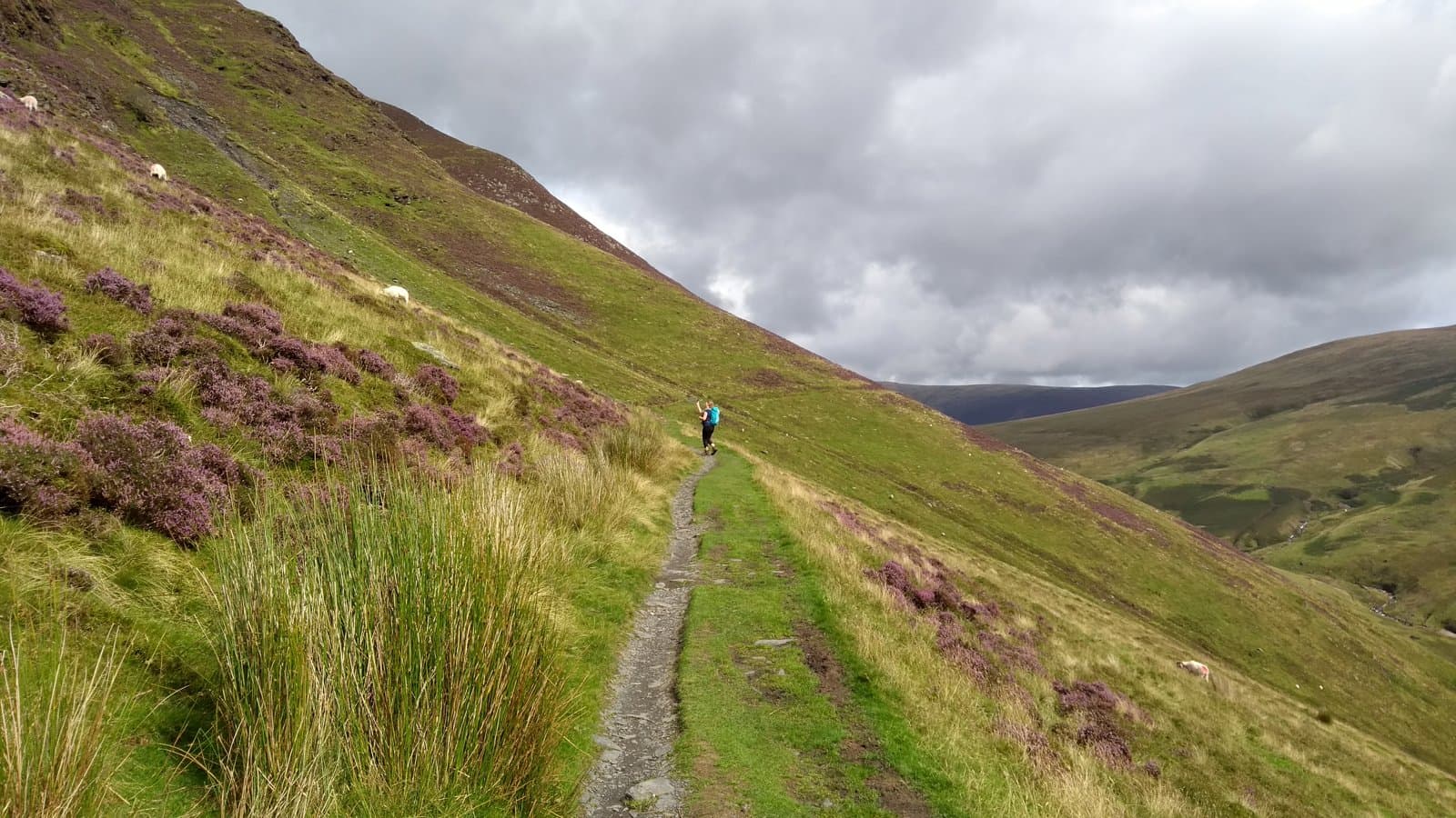 IMG 20170820 105130938