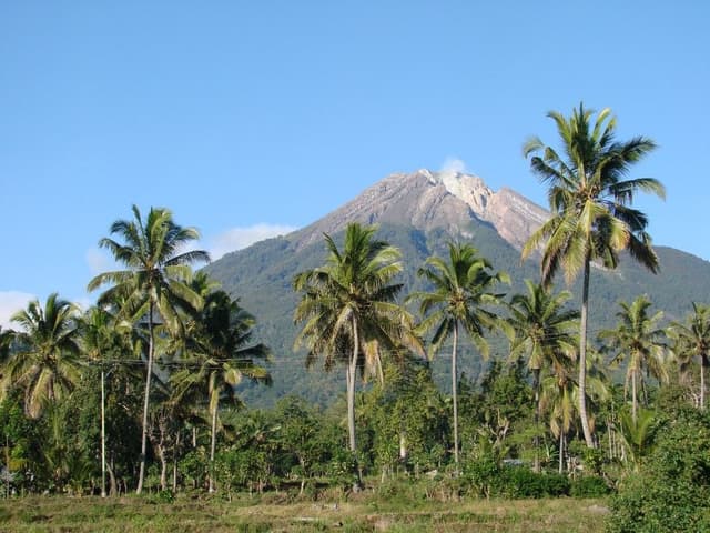 Gr14-141-Soenda-An-Herrebout-DSC09886-Custom