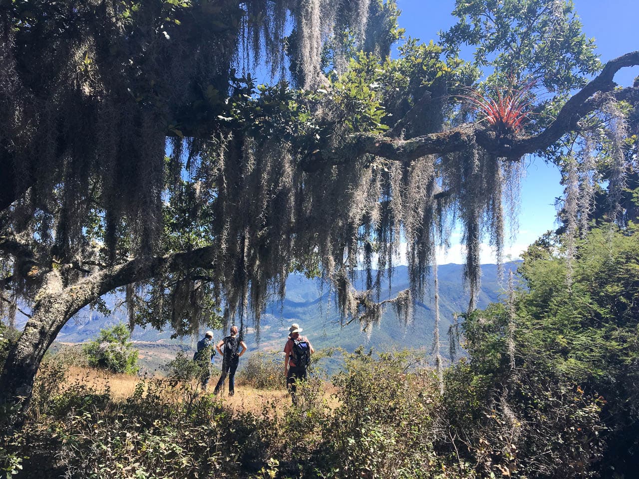 IMG 7138 Selectie Murielle Coppin W1280