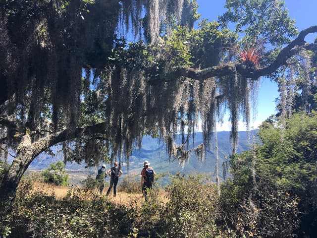 IMG 7138 Selectie Murielle Coppin W1280