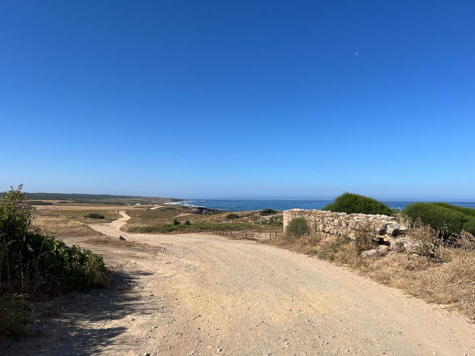 Image00007 PT6ALA Agent W950