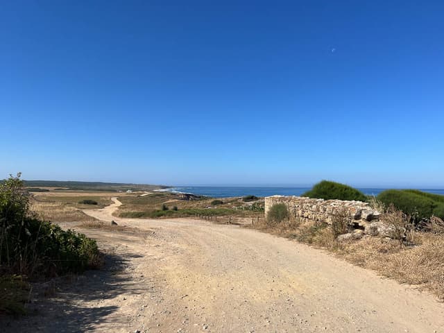 Image00007 PT6ALA Agent W950