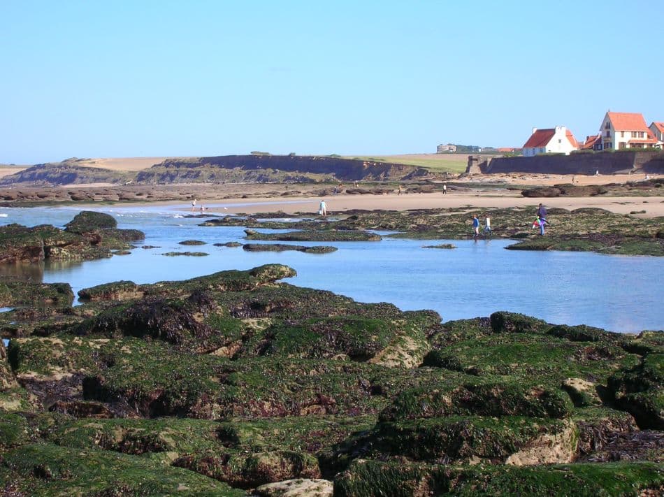 Côte D'opale 06 Bart De Winter 9 Export