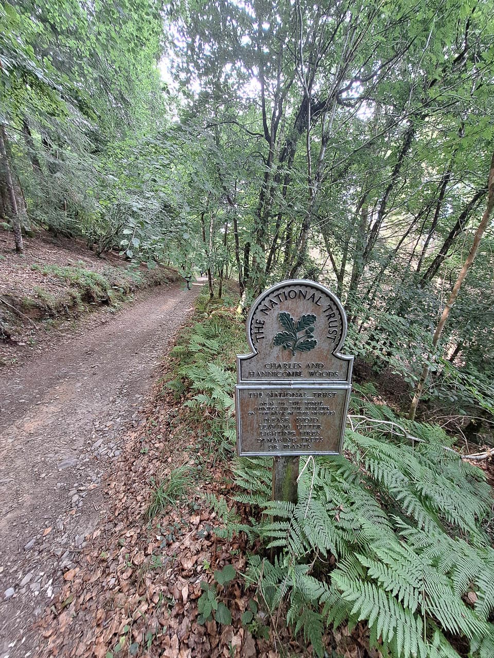 Selectie 20250713 162119 Jade Bracke