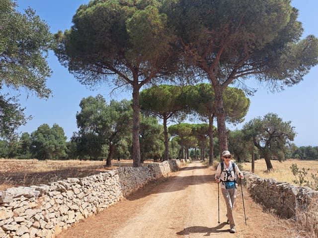 20240621 103617 AVE 6152 Selectie Ann Verhetsel W950